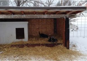 Cold Weather Dog House Plans Winter Dog House Plans