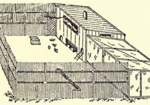 Commercial Chicken House Plans Commercial Chicken Housing Plans Home Design and Style