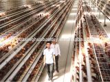 Commercial Chicken House Plans Design Of Commercial Chicken Houses Home Design and Style