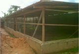 Commercial Chicken House Plans Poultry Farming In Kenya