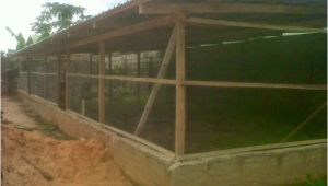 Commercial Chicken House Plans Poultry Farming In Kenya