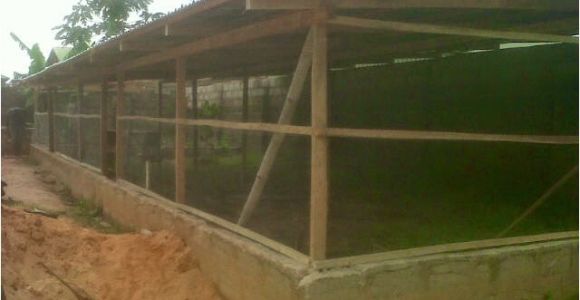 Commercial Chicken House Plans Poultry Farming In Kenya