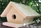 Cool Bird House Plans 11 Cool Bird House Plans Ideas World Homes 3697