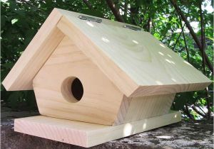 Cool Bird House Plans 11 Cool Bird House Plans Ideas World Homes 3697
