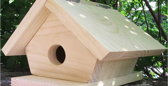 Cool Bird House Plans 11 Cool Bird House Plans Ideas World Homes 3697
