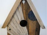 Cool Bird House Plans Basic Birdhouse Design Woodworking Projects Plans