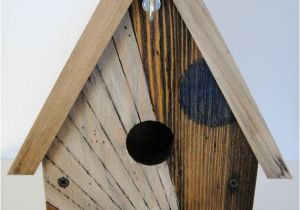 Cool Bird House Plans Basic Birdhouse Design Woodworking Projects Plans