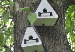 Cool Bird House Plans Cool Bird Houses