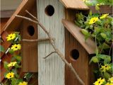 Cool Bird House Plans Unique Bird Houses Woodworking Projects Plans