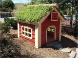 Cool Dog House Plans Cool Dog House Plans Beautiful Cool Dog Houses Plans New