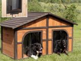 Cool Dog House Plans Dog House Designs for Two Dogs