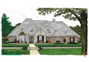 Country Homes Plans French Country House Plans One Story Small Country House