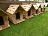 Custom Dog Houses Plans Custom Dog Houses House Plan 2017
