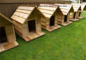 Custom Dog Houses Plans Custom Dog Houses House Plan 2017
