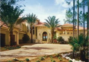 Dan Sater Mediterranean Home Plans Sater Design Collection 39 S 6910 Quot Fiorentino Quot Home Plan