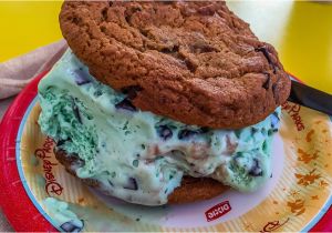 Disney Dining Plan Snacks to Take Home Pros and Cons to the Disney Dining Plan