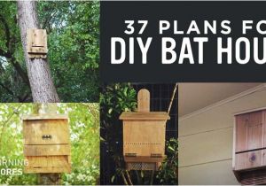 Diy Bat House Plans 37 Free Diy Bat House Plans that Will attract the Natural