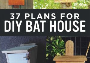 Diy Bat House Plans 37 Free Diy Bat House Plans that Will attract the Natural