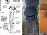 Diy Bat House Plans 39 Free Diy Bat House Plans to Shelter the Natural Pest