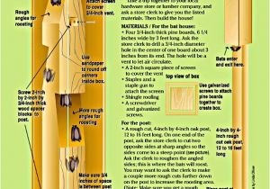 Diy Bat House Plans Bat House Plans Woodworking Projects Plans
