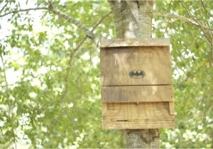 Diy Bat House Plans Free Bat House Plans Do It Yourself Plans Diy Free