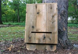 Diy Bat House Plans How to Build A Bat House How tos Diy