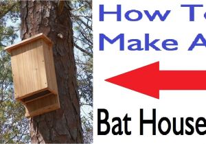 Diy Bat House Plans How to Build A Bat House Youtube