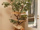 Diy Cat Tree House Plans 15 Creative Cat Houses and Cool Cat Bed Designs