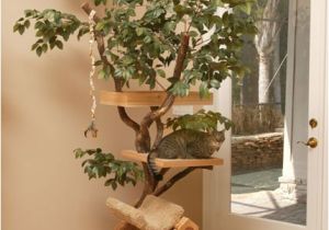 Diy Cat Tree House Plans 15 Creative Cat Houses and Cool Cat Bed Designs