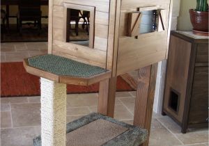 Diy Cat Tree House Plans Ana White Cat Tree Condo Diy Projects