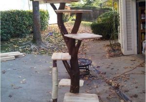 Diy Cat Tree House Plans Awesome Cat Tree Picmia
