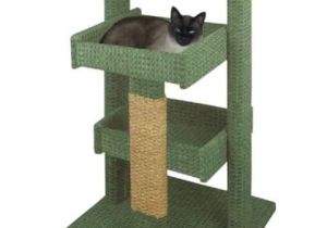 Diy Cat Tree House Plans Best 25 Cat Tree Plans Ideas On Pinterest Diy Cat tower