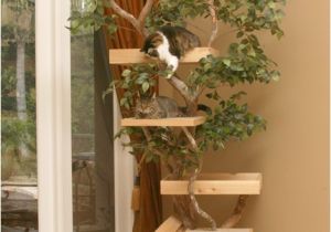 Diy Cat Tree House Plans Cat Tree Houses Curbly