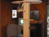 Diy Cat Tree House Plans Diy How to Make A Cat Tree Plans Free