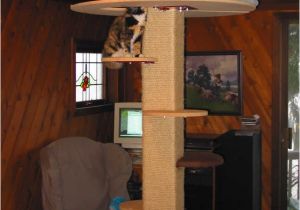 Diy Cat Tree House Plans Diy How to Make A Cat Tree Plans Free