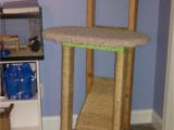 Diy Cat Tree House Plans Homemade Cat Tree Diy On A College Budget