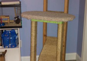 Diy Cat Tree House Plans Homemade Cat Tree Diy On A College Budget