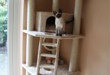 Diy Cat Tree House Plans Pdf Diy Cat tower Plans Download Cedar Log Swing Plans