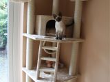 Diy Cat Tree House Plans Pdf Diy Cat tower Plans Download Cedar Log Swing Plans