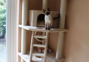 Diy Cat Tree House Plans Pdf Diy Cat tower Plans Download Cedar Log Swing Plans