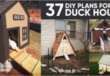 Diy Duck House Plans 37 Free Diy Duck House Coop Plans Ideas that You Can