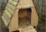 Diy Duck House Plans 37 Free Diy Duck House Coop Plans Ideas that You Can