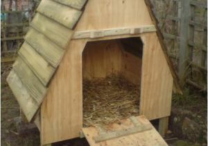 Diy Duck House Plans 37 Free Diy Duck House Coop Plans Ideas that You Can