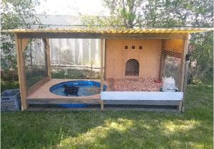 Diy Duck House Plans 37 Free Diy Duck House Coop Plans Ideas that You Can