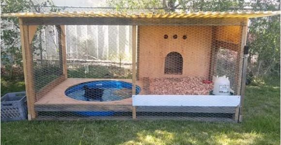 Diy Duck House Plans 37 Free Diy Duck House Coop Plans Ideas that You Can