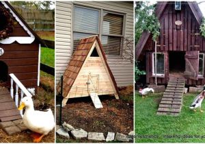 Diy Duck House Plans 57 Diy Chicken Coop Plans In Easy to Build Tutorials 100