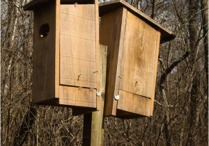 Diy Duck House Plans Diy How to Build A Wood Duck House Pdf Download 18 Inch