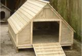 Diy Duck House Plans Domestic Duck House Plans Free