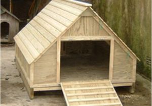 Diy Duck House Plans Domestic Duck House Plans Free