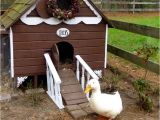 Diy Duck House Plans Gingerbread Duck House Plans Pdf Room In Coop for Up to